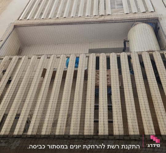 רשת למניעת כניסת יונים על מרפסת